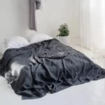 Ensemble De Draps Plats En Lin Lavé