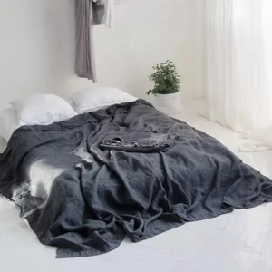 Ensemble De Draps Plats En Lin Lavé